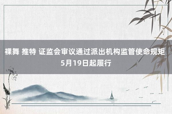 裸舞 推特 证监会审议通过派出机构监管使命规矩 5月19日起履行