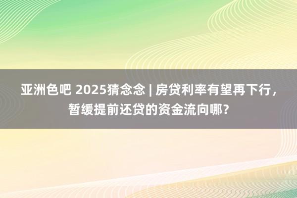 亚洲色吧 2025猜念念 | 房贷利率有望再下行，暂缓提前还贷的资金流向哪？