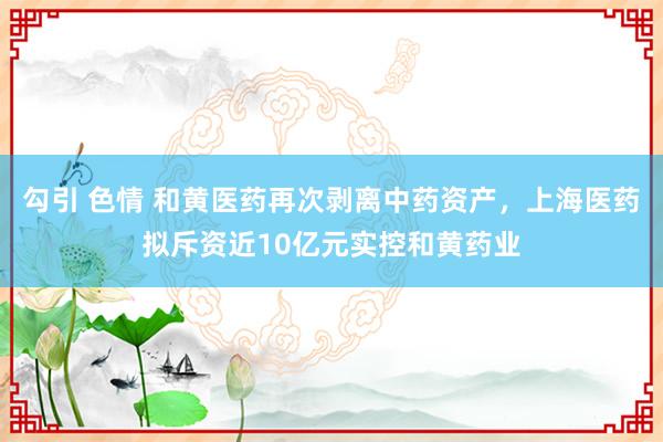 勾引 色情 和黄医药再次剥离中药资产，上海医药拟斥资近10亿元实控和黄药业