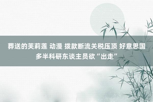 葬送的芙莉莲 动漫 拨款断流关税压顶 好意思国多半科研东谈主员欲“出走”