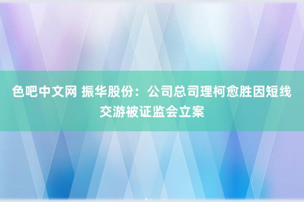 色吧中文网 振华股份：公司总司理柯愈胜因短线交游被证监会立案