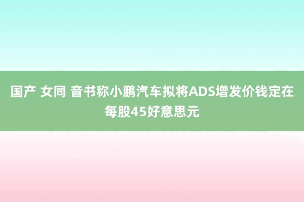 国产 女同 音书称小鹏汽车拟将ADS增发价钱定在每股45好意思元
