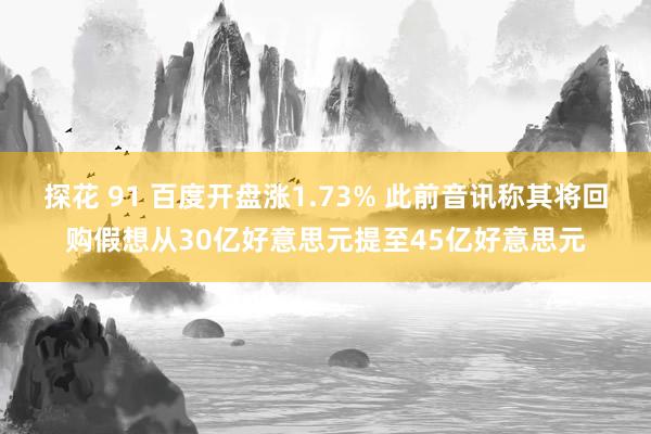 探花 91 百度开盘涨1.73% 此前音讯称其将回购假想从30亿好意思元提至45亿好意思元