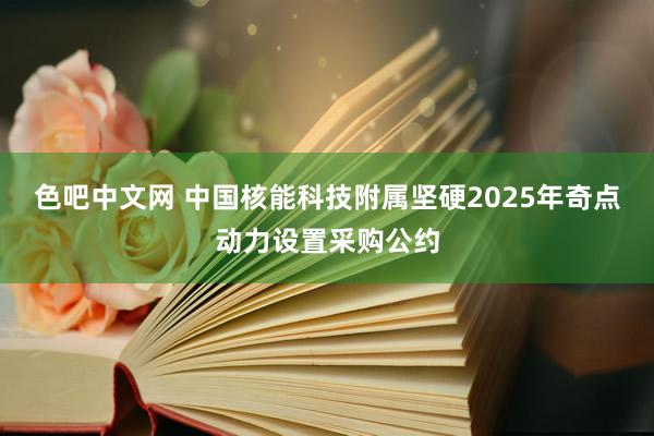 色吧中文网 中国核能科技附属坚硬2025年奇点动力设置采购公约