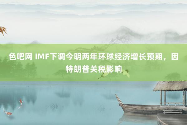 色吧网 IMF下调今明两年环球经济增长预期，因特朗普关税影响