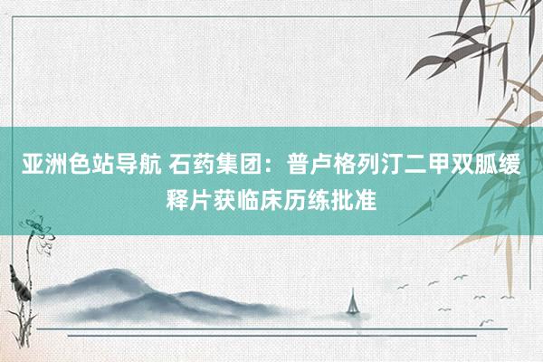 亚洲色站导航 石药集团：普卢格列汀二甲双胍缓释片获临床历练批准
