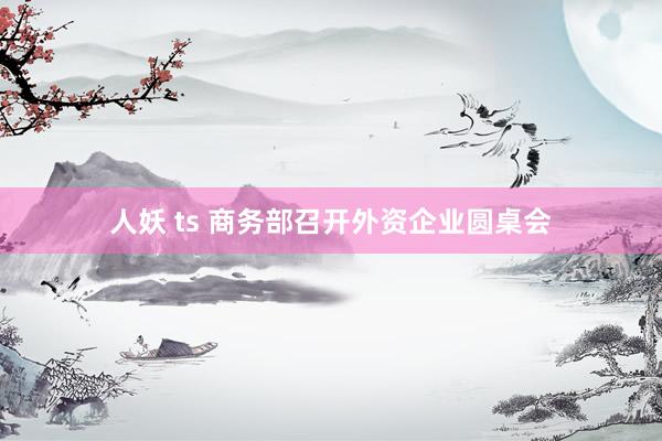 人妖 ts 商务部召开外资企业圆桌会