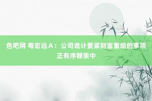 色吧网 粤宏远Ａ：公司诡计要紧财富重组的事项正有序鞭策中