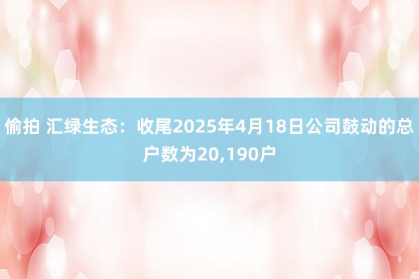 偷拍 汇绿生态：收尾2025年4月18日公司鼓动的总户数为20，190户