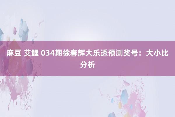 麻豆 艾鲤 034期徐春辉大乐透预测奖号：大小比分析