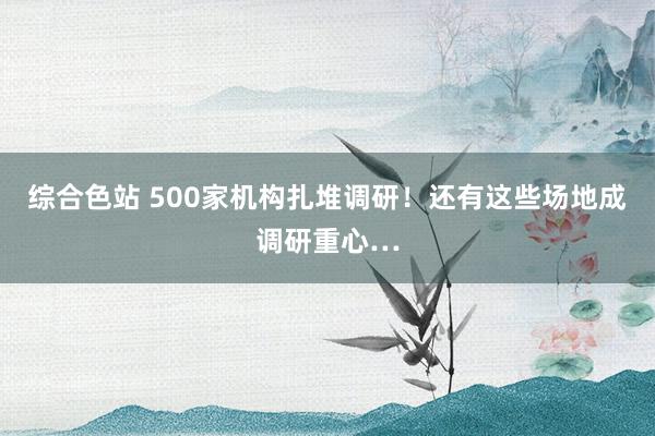 综合色站 500家机构扎堆调研！还有这些场地成调研重心…